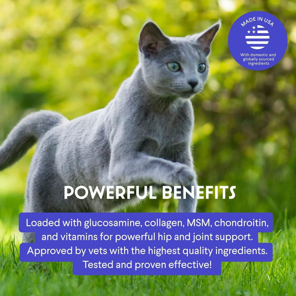 Cat Glucosamine Liquid Joint Supplement Mobility Flexibility Taurine 2oz