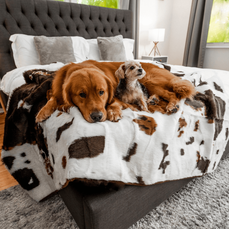PupProtector Waterproof Throw Blanket - Brown Faux Cowhide