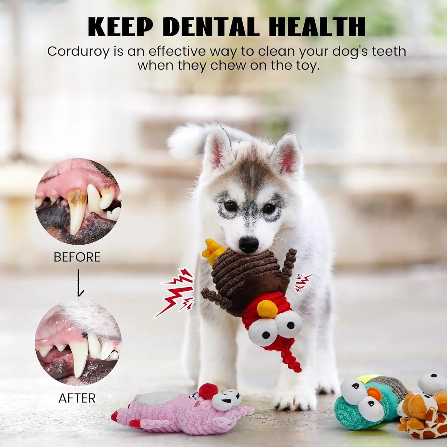 5-Pack Squeaky Dog Toys, Durable Plush Critter Set for Small to Large Dogs