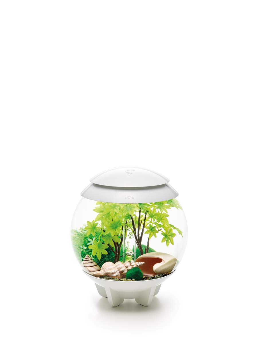 Biorb Decor Set 15L Summer, Multi, Small
