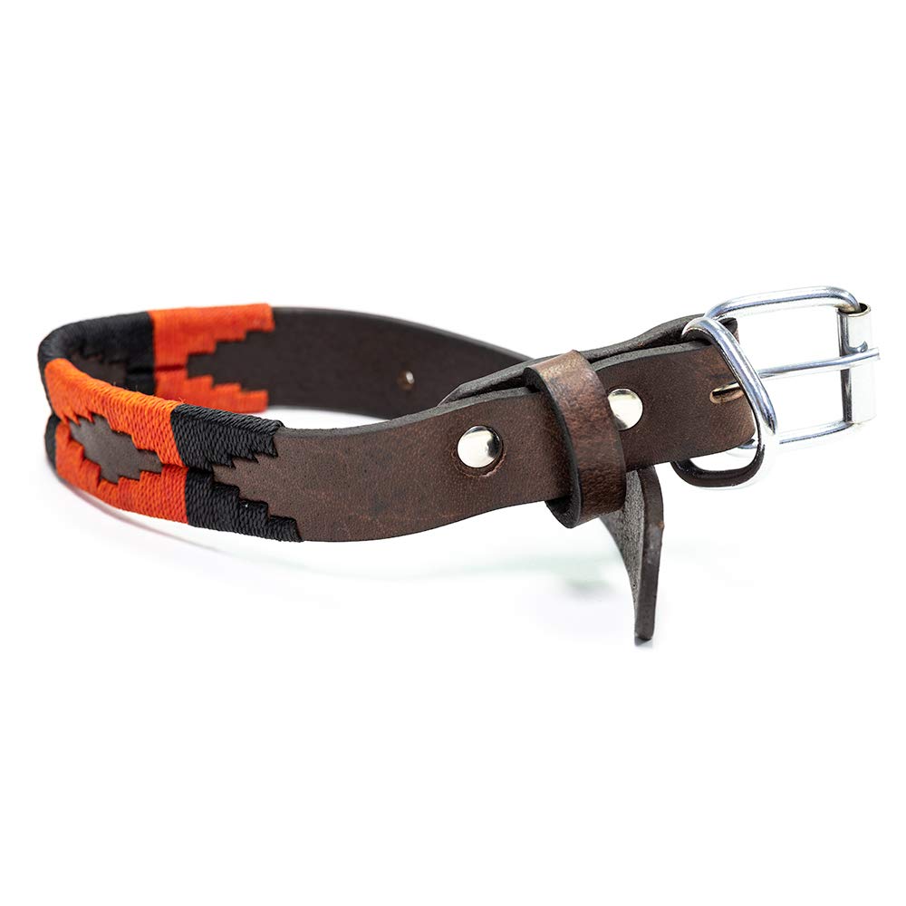Gaucho Goods Leather Dog Collar - Moab (L)