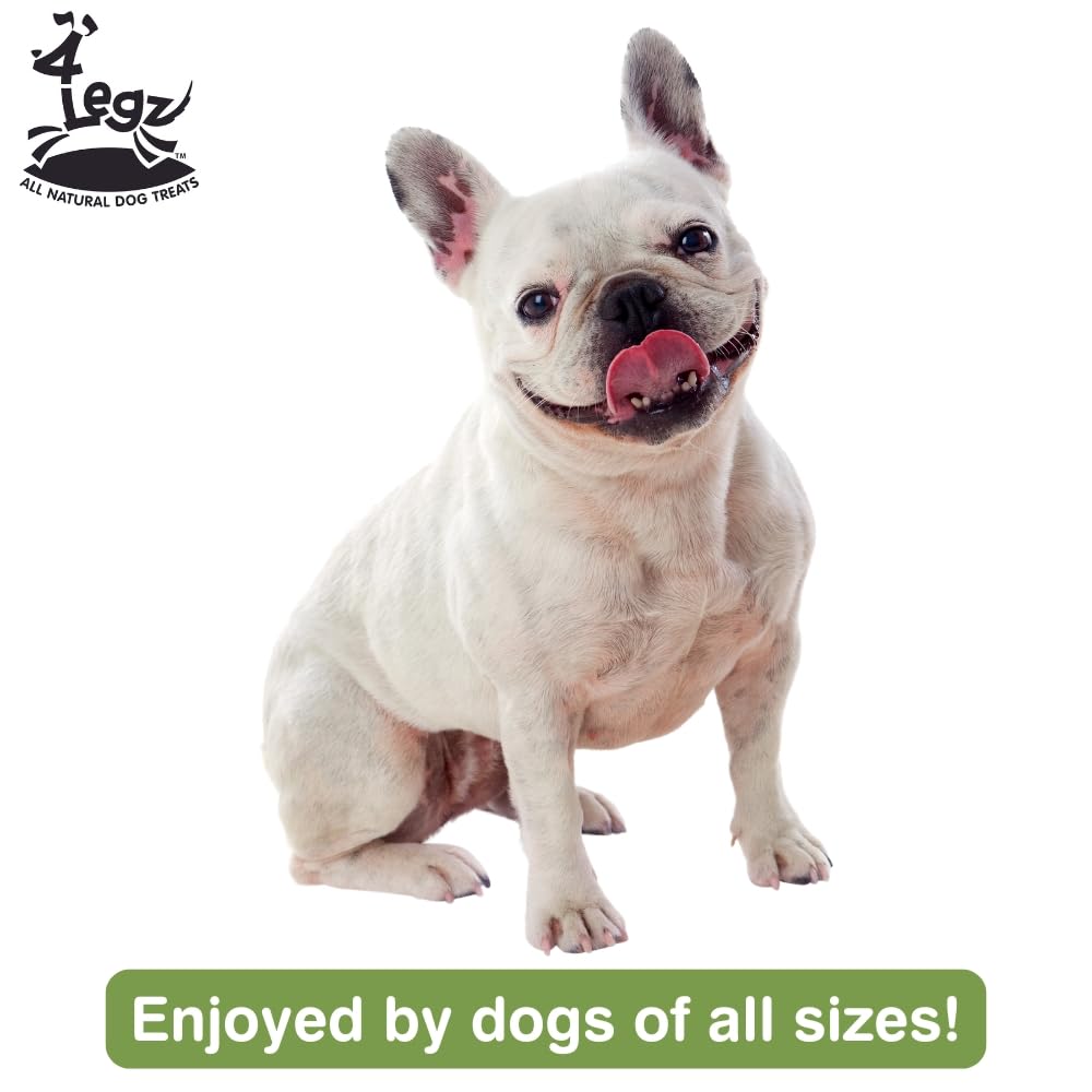 4Legz Organic Pumpkin Vegan Dog Treats from Low Fat & Crunchy Natural Snack Biscuits for Dogs Small, Medium & Large - Made in US