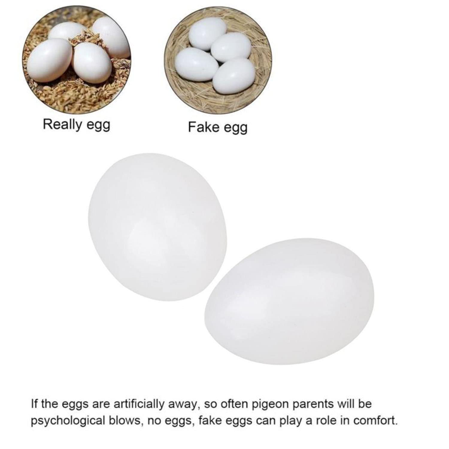 Maxmoral 12Pcs Fake Eggs Plastic False Pigeon Eggs For Hatch Breeding Supplies Solid Pigeon Fake Egg Pigeon Hatching Supplies
