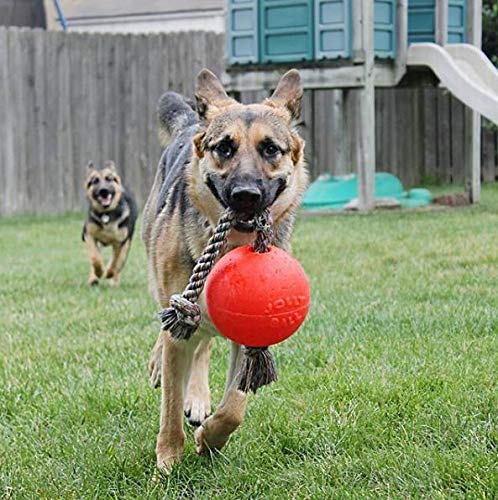 Jolly Pets Romp-N-Roll Dog Toy, Orange, 6', Model Number: 788169060645
