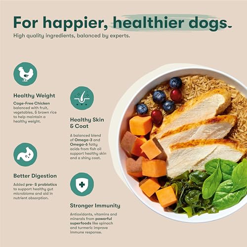 Jinx Premium Dry Dog Food, Puppy - Real Chicken, Brown Rice & Sweet Potato Kibble for Puppies with DHA, Protein & Calcium for Br