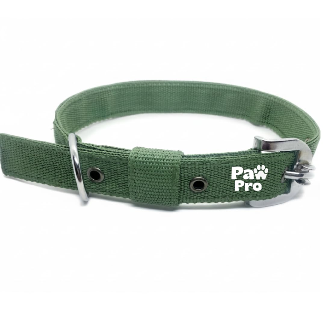 Pawpro Nylon Dog Collar With Secure DRing (Olive Green Medium)