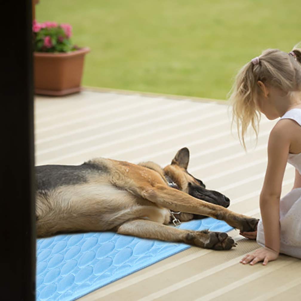 Meilimiyu Washable Dog Cooling Mat Ice Silk Cooling Mat For Dogs Pet Self Cooling Pad Blanket Dog Cooling Pad For Indoor & Outdoor Car Seats (Blue, 59X39 In)