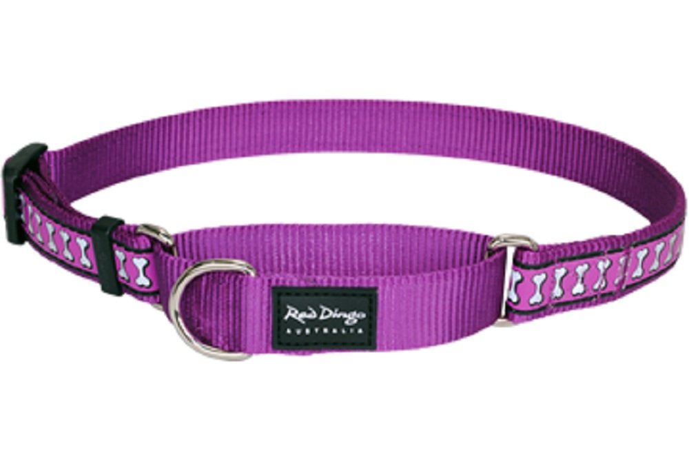 Red Dingo Reflective Martingale Dog Collar, Medium, Purple