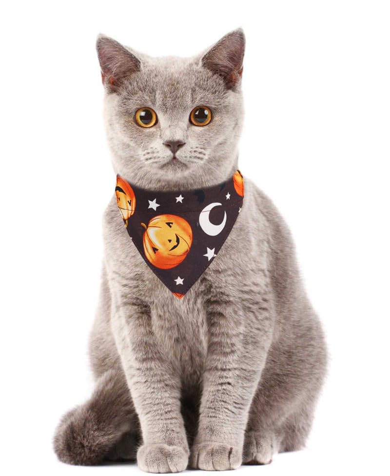 Halloween Cat Collars Breakaway With Bandana Bell Pet Kitten Adjustable For Small Dog Puppies Girl Boy