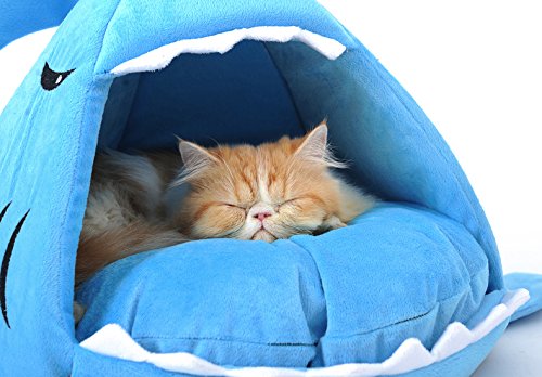 Elisanliving Shark Dog Cat Small Animal Pet Canopy Teepee Tent House Bed (Blue Shark)