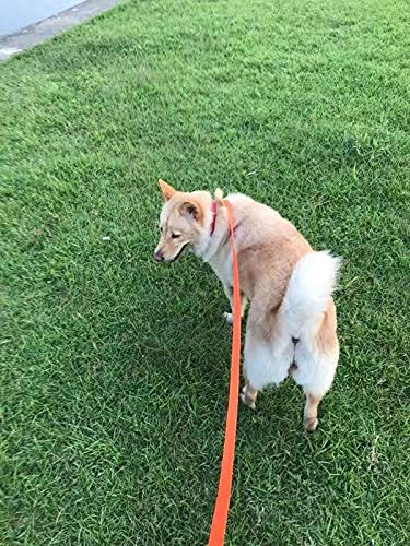 Amagood Dog/Puppy Obedience Recall Training Agility Lead-15 Ft 20 Ft 30 Ft 50 Ft Long Leash-For Dog Training,Tie Out,Play,Safety,Camping (20 Feet, Orange)