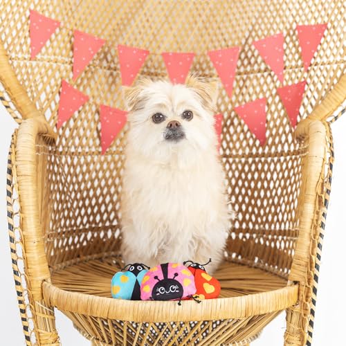 Fringe Studio Plush Dog Toy, Buggy For You, Small 3 Piece Set, Pet Shop Collection (662028)
