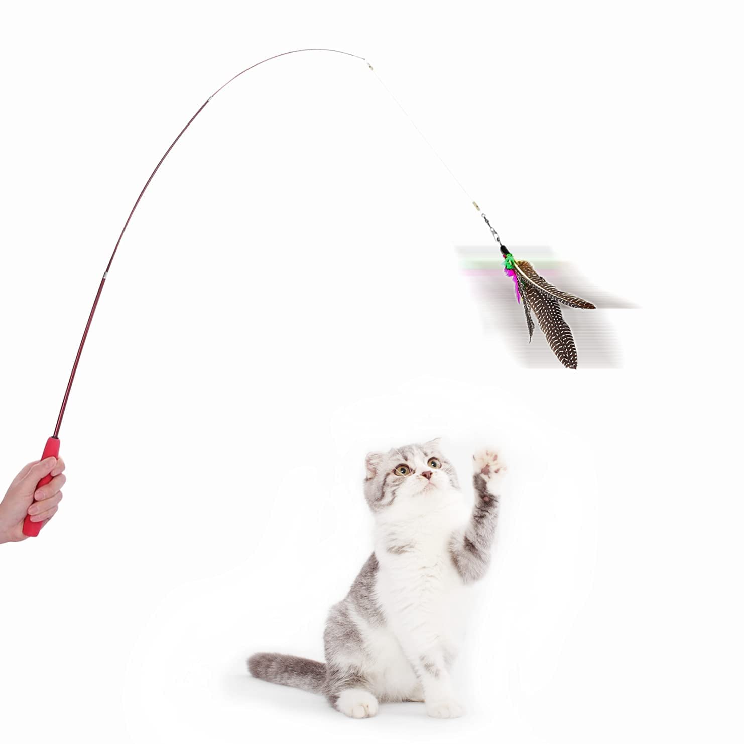Dog Trust Cat Wand Interactive Feather Toy Wild Refill On Retractable Stick Fun Catcher Teaser Suitable Exercise Your Kitten To