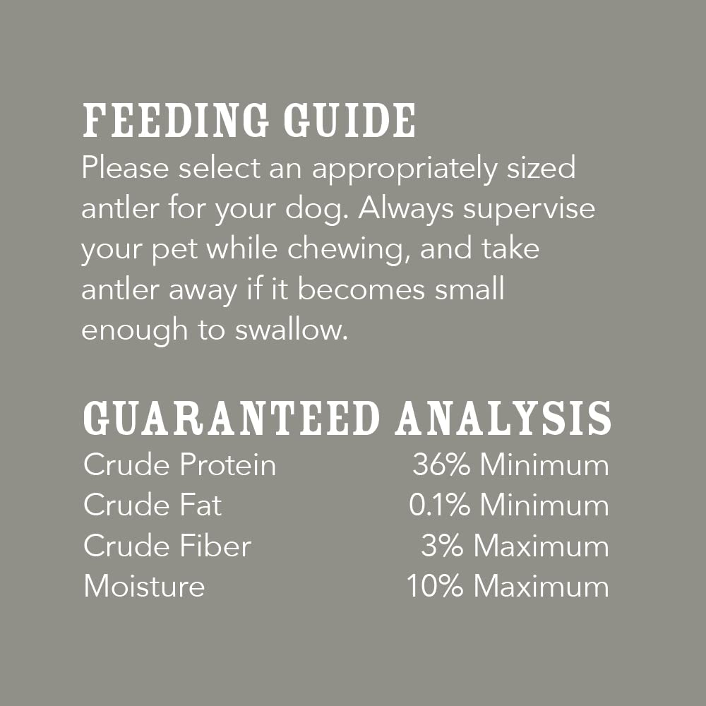 Amazon Brand - Wag Dog Elk Antler Chew, Naturally Shed, Whole, Large 8-9.5 inches, Long Lasting for Aggressive Chewers, Best for