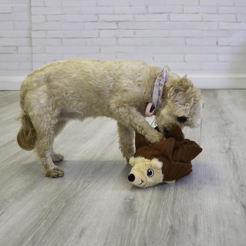 KONG Layerz Forage - Crackle Material with Plush Pockets for Treat Dispensing - Dog Toy (Hedgehog)