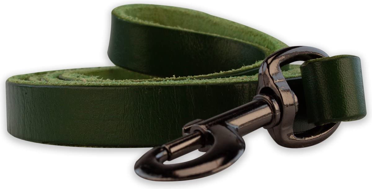 Brute Strength - Leather Dog Leash - 47Ft - Green - Soft And Strong Full Grain Leather Leash For Large And Medium Dogs - Dog Tra