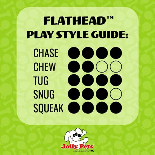 Jolly Pets Flathead Tug/Squeak Dog Toy, Alligator, Small (Fha5)