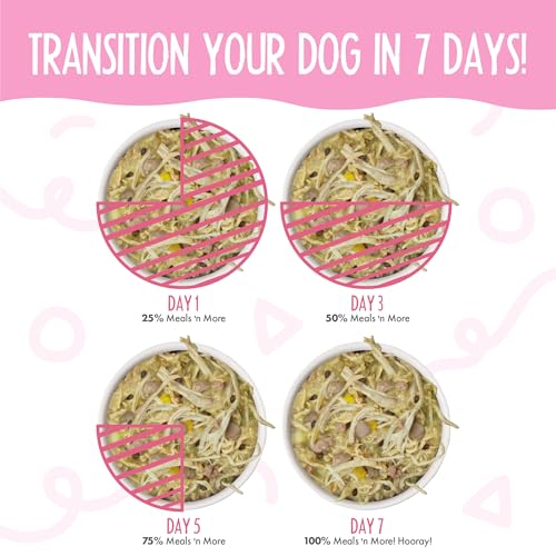 Weruva Meals n More Natural Wet Dog Food, Amazon Livin Plus Digestive Support, 3.5oz Cup (Pack of 12)