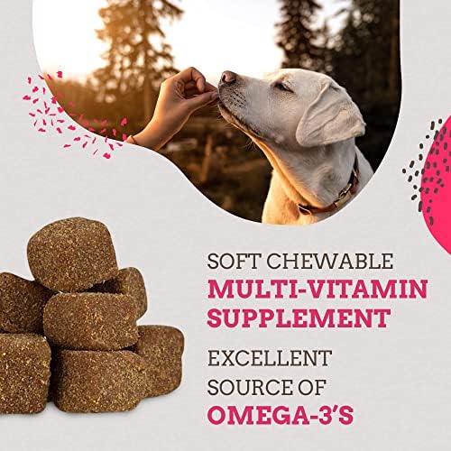 Paws & Pals Glucosamine Chondroitin MSM Soft Chews for Dogs, 240 Count - Maximum Strength Hip & Joint Supplement, Brown