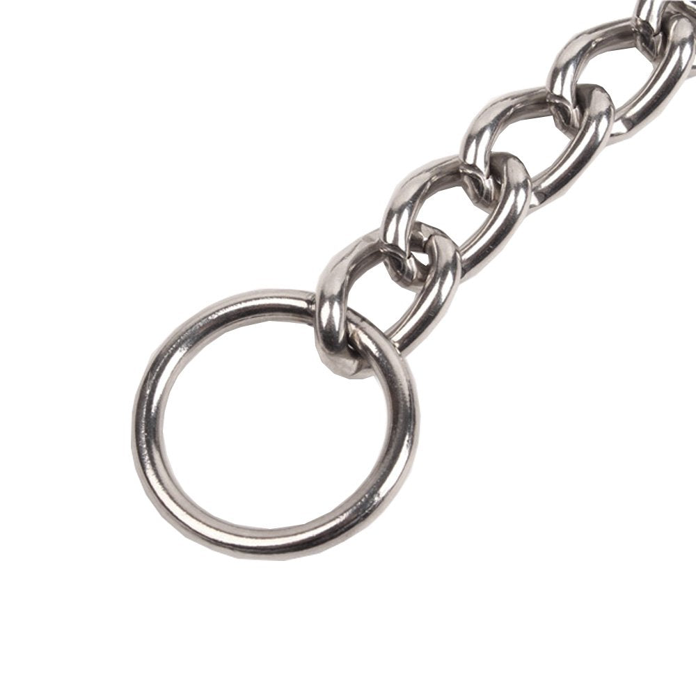 Sgoda Chain Dog Training Choke Collar, 22 In, 3 Mm