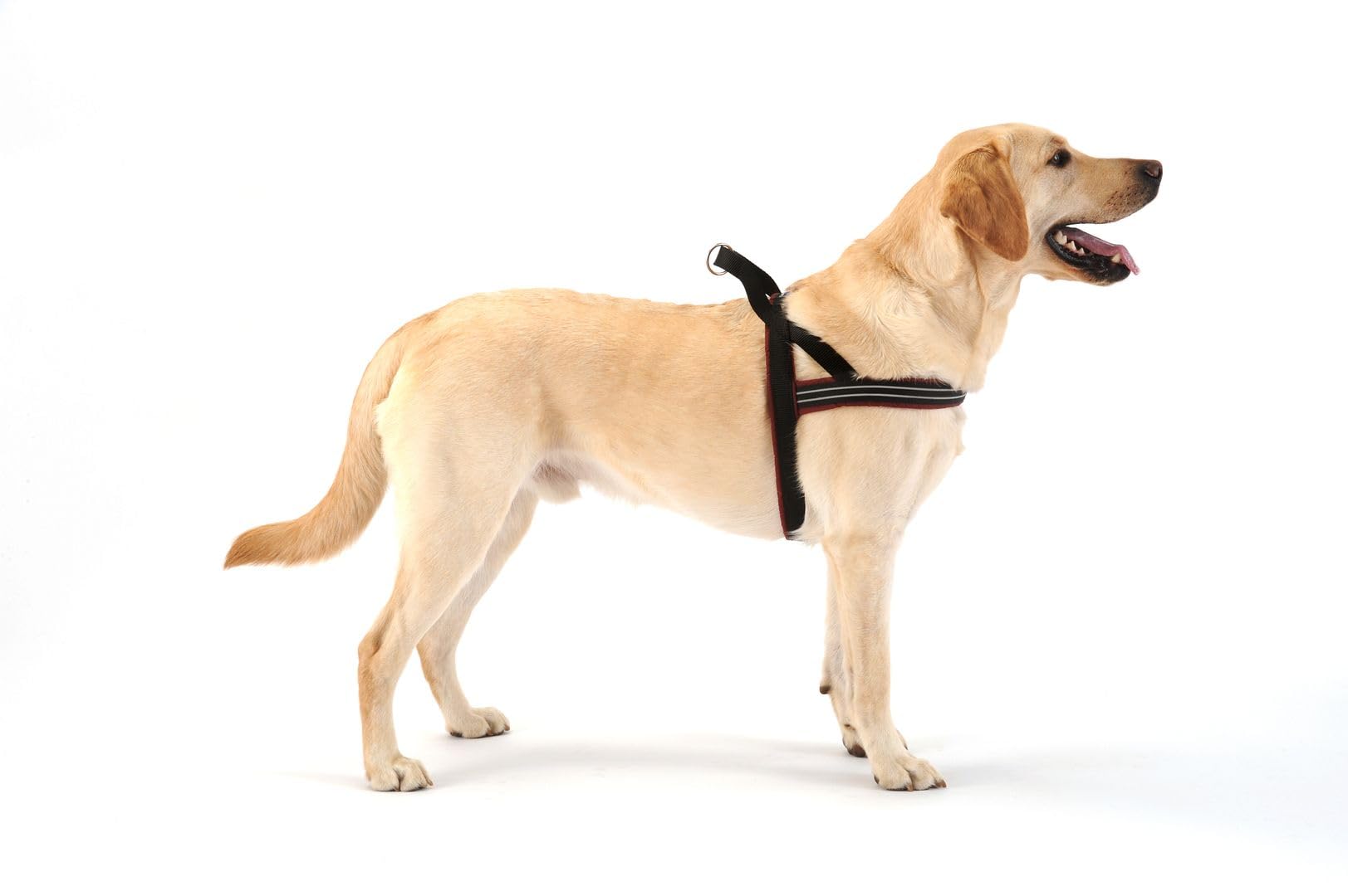 ComfortFlex Sport Dog Harness - Fully Padded, Reflective, Adjustable, Lightweight No-Choke, No-Pull, Non-Chafing Design for Acti