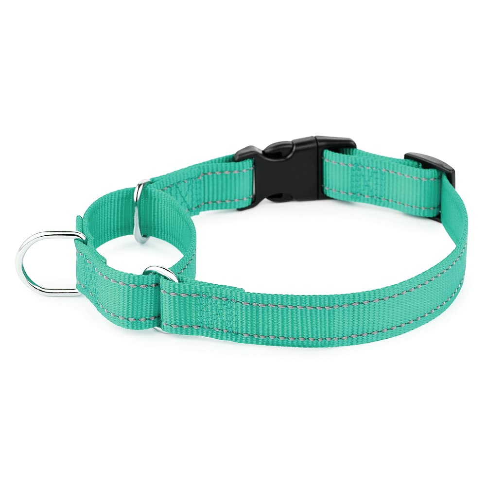 Plutus Pet Reflective Martingale Collar With Buckle - Durable And Adjustable Training Collar For No Pulling, Dog Choker Collar For Small Medium Large Dogs, Teal, S