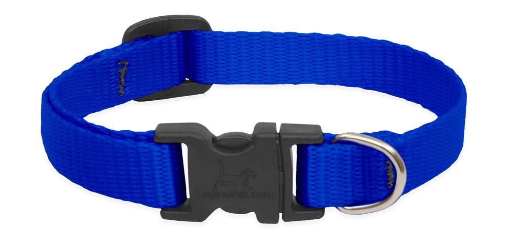 LupinePet Basics 1/2'' Blue 10-16'' Adjustable Collar for Small Dogs
