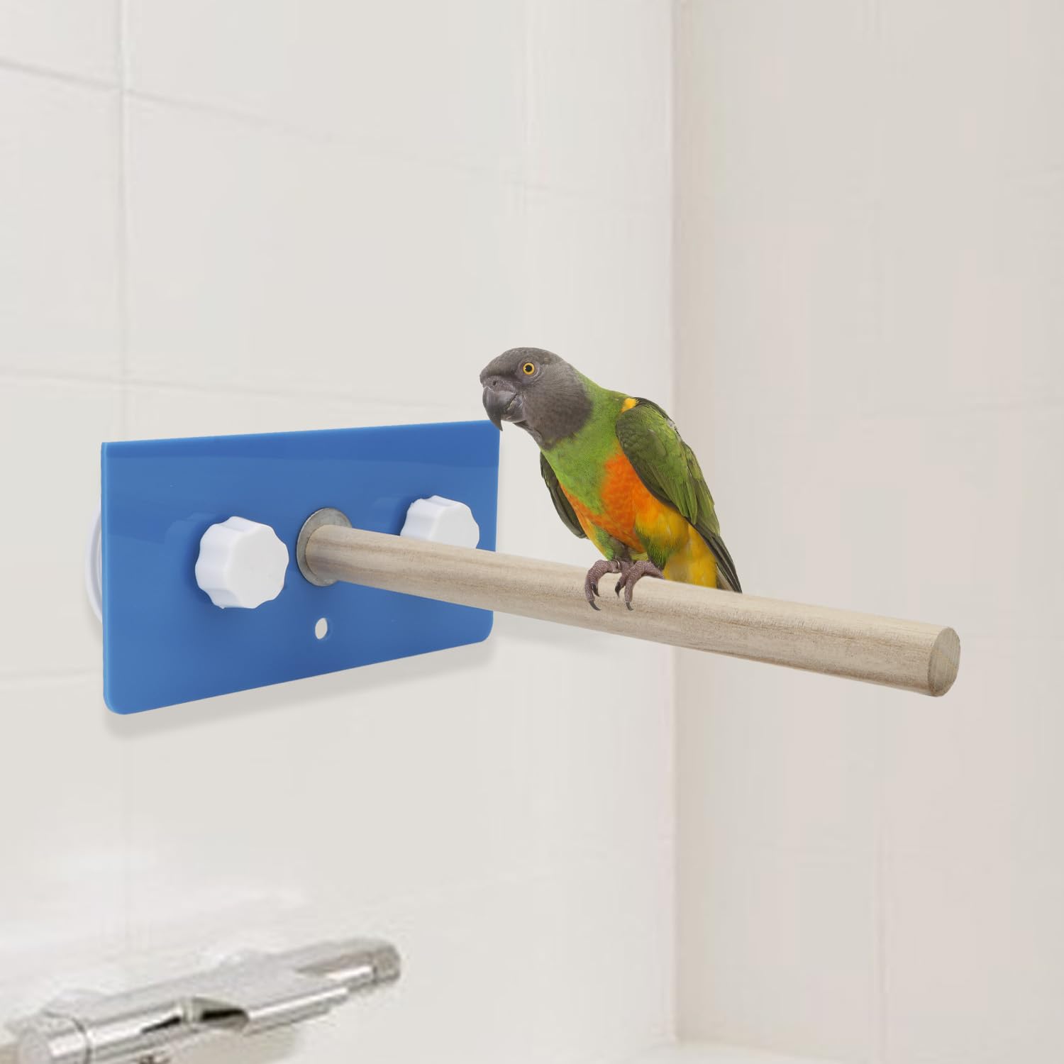 Hypeety Bird Parrot Stand Perch Shower Perch Standing Toy Portable Suction Cup Parrot Bath Stands Suppllies Holder Platform Para
