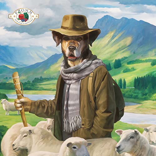 Fromm Four-Star Nutritionals Zealambder Dog Food - Premium Dry Dog Food - Lamb Recipe - 26 lb
