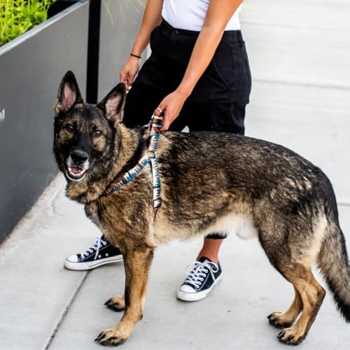 Wolfgang Heavy Duty Adjustable Dog Harness, Pull-Tested To Over 800 Lbs For Walking & Training, Overland Print, Extra Large
