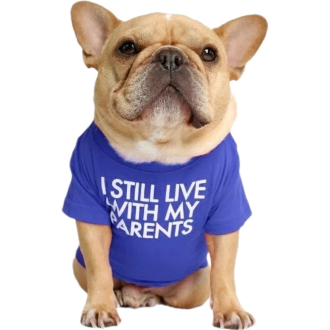 Kutkut Pet Dog Breathable Stretchy Round Neck T-Shirt I Still Live With My Parents Small Dogs Cats Summer T-Shirts Soft Cotton C