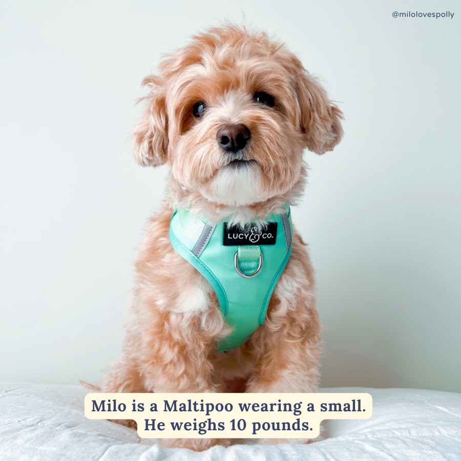 Lucy & Co. The Spring Green No-Pull Dog Harness - Size Small- Vest to Stop Pulling & Walk Easy - Comfortable Leash Training Prod