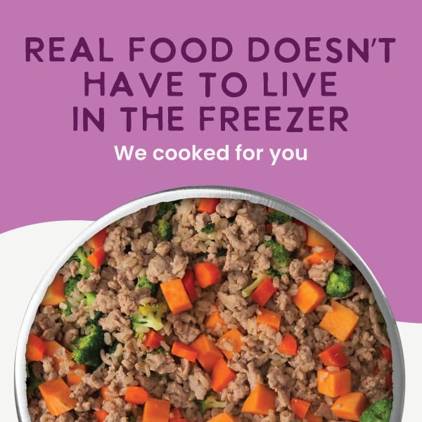 Health Extension Gently Cooked Lamb & Carrot Dog Food, Human-Grade & Shelf-Stable with Superfoods, Supports Digestion, Immunity,
