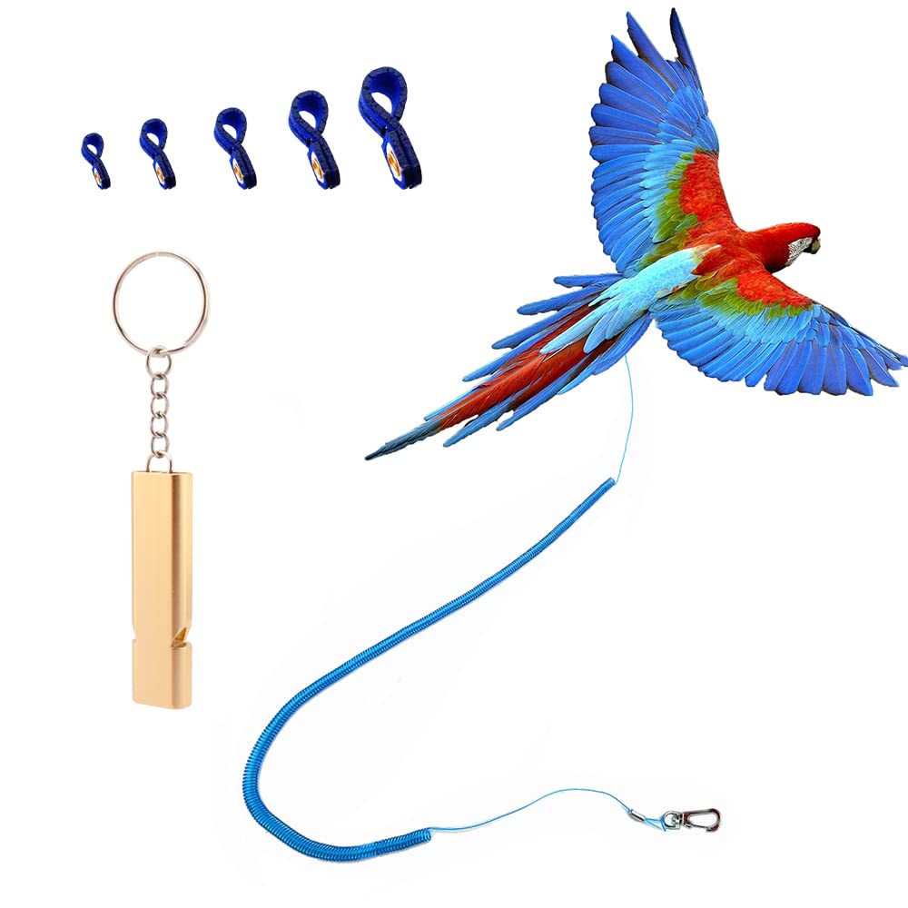 Parrot Bird Harness Leash Anti-Bite Outdoor Blue Flying Training Rope With 5Pcs Different Sizes Of Soft Foot Loops And Training Whistle(Upgraded Version Of Ankle Ring)