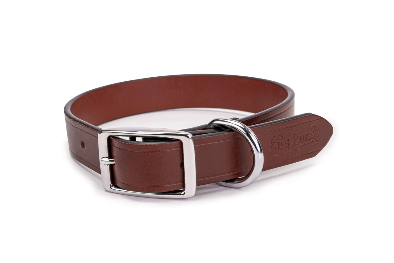 King Buck Leather Dog Collar with D Ring, Leather, Small