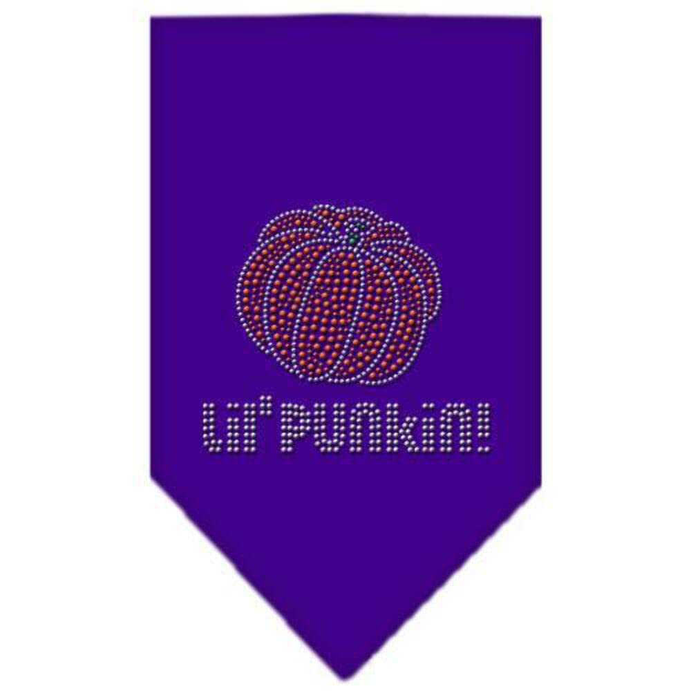 Halloween Pet and Dog Bandana Rhinestone, Lil Punkin Purple Large