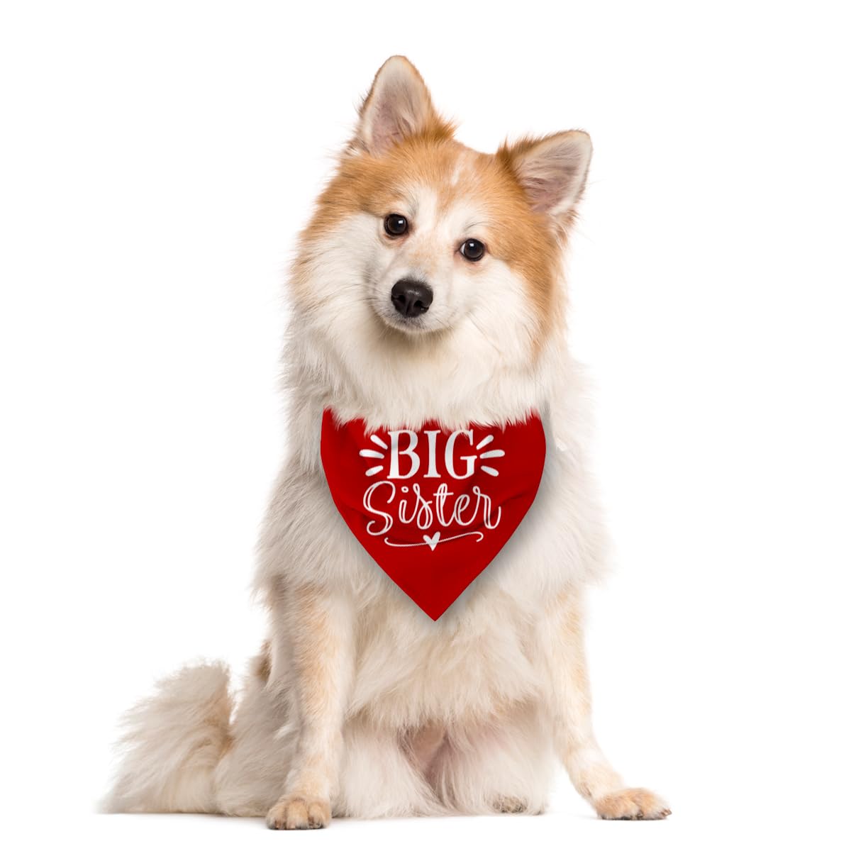 Zpprjf Big Sister Dog Bandana, Big Sister Bandana For Dog, Dog Pregnancy Announcement, Red Dog Bandana, Big Sister Dog Shirt, Do