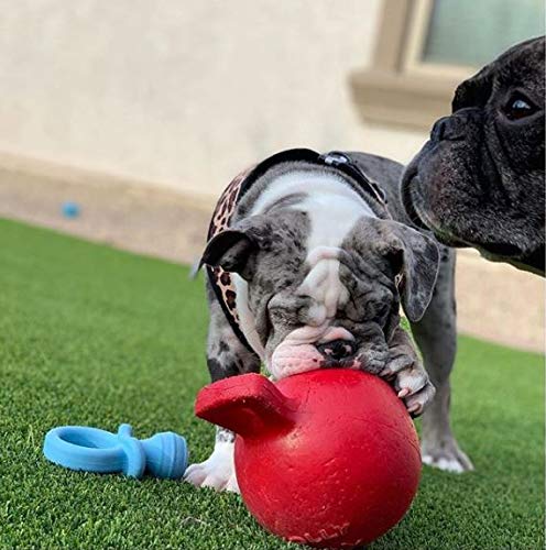 Jolly Pets Dog 6-Inch Tug-N-Toss, Red (406 Rd),6 Inches/Medium
