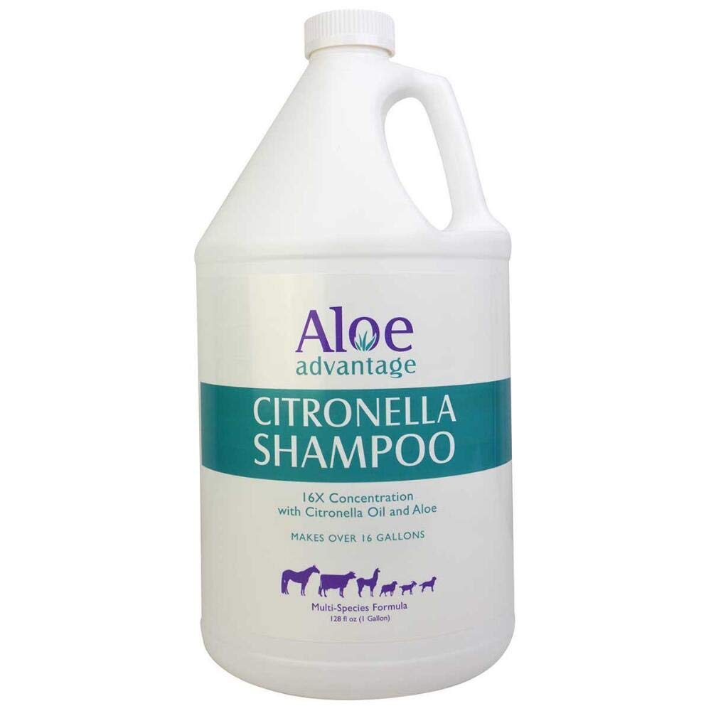 Durvent Aloe Advantage Citronella Shampoo Gallon