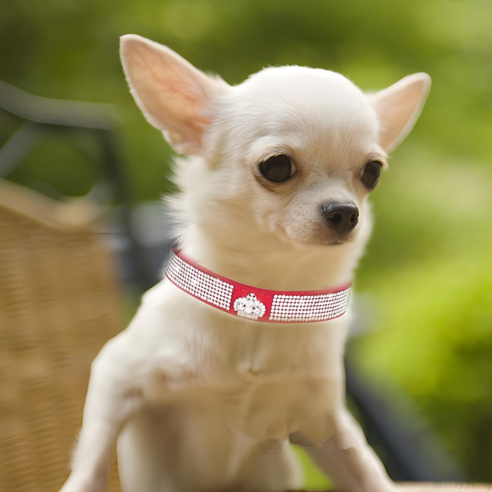 Red Rhinestone Large Dog Collar For Females, Diamond Dog Collar Girl Bling Pretty Jewel Glitter Sparkly Pet For Xxs Xs Small Med