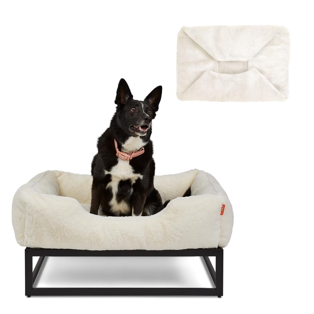 Fuzi Elevated Dog Bed Large With Extra Cover, Luxury Raised Dog Beds, Removable And Machine Washable Bed Cover, Indoor/Outdoor O