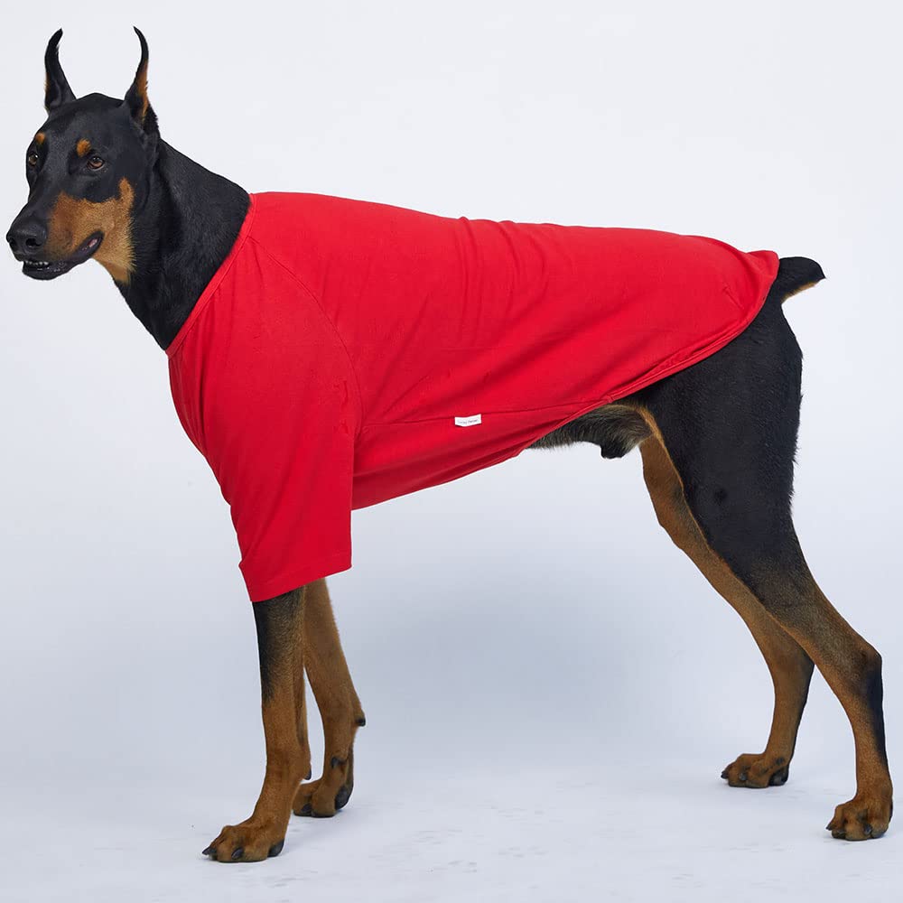 Lucky Petter Dog Shirt For Small Dogs Plain T-Shirts Soft Breathable Dog Cotton Shirt Pet Clothes (2X-Large, Red)