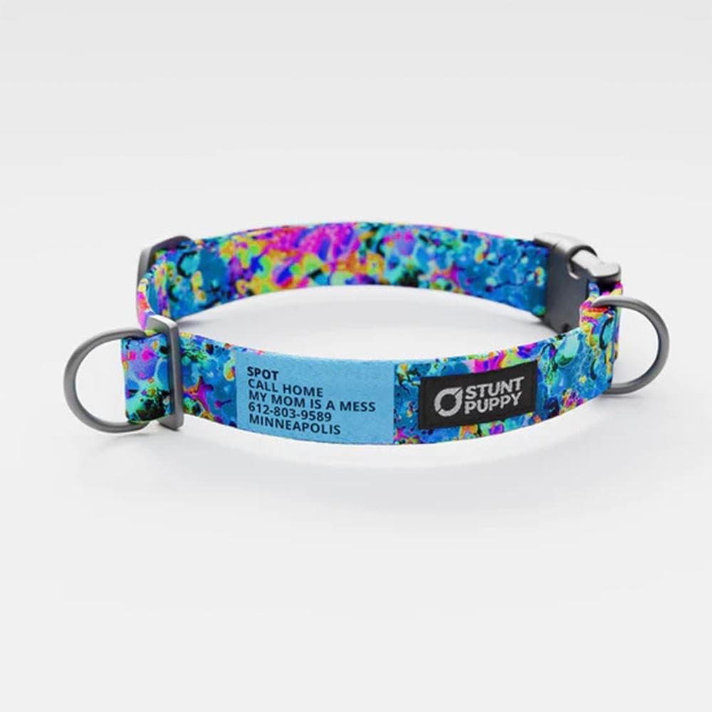 Jammin Sea Visions Everyday Collar Small