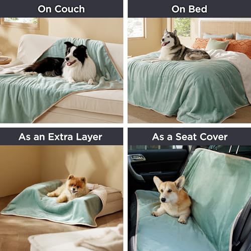 Bedsure Waterproof Dog Blankets For Small Dogs - Small Cat Blanket Washable For Couch Protection, Sherpa Fleece Puppy Blanket, Soft Plush Reversible Throw Furniture Protector, 25'X35', Light Green
