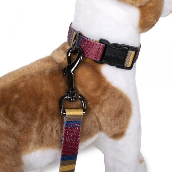 Pendleton Zion National Park Adventure Collar S
