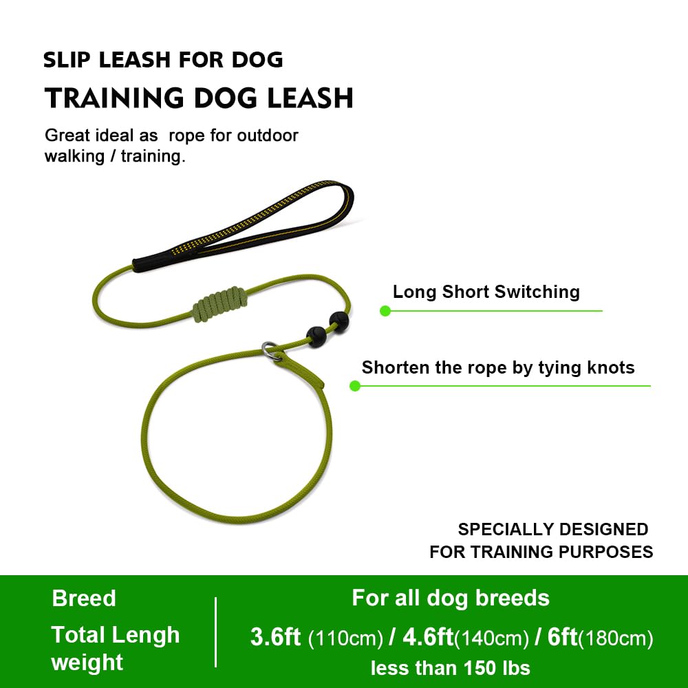 BeauGo Dog Slip Lead - 1.8M Black Nylon Training Leash for Small, Medium, Large Dogs - Gentle Leader Model WALK DOG