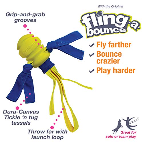 Nylabone Power Play Dog Fetch Toys Fling-A-Bounce Medium (1 Count)