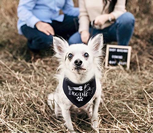 Big Brother Dog Bandana Reversible Triangle Bibs Pet Scarf