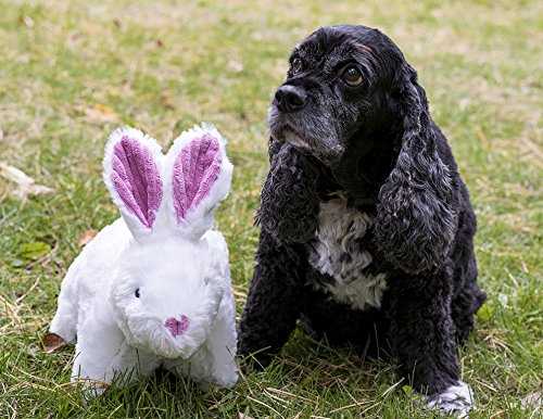 Hugglehounds Plush Dog Toys For Large Dogs & Aggressive Chewers - Squeaky Dog Toy - Soft Extra Durable Stuffed Pet Toy - Fluffy Knotless Puppy Toys - Best For All Breed | Squooshie Bunny