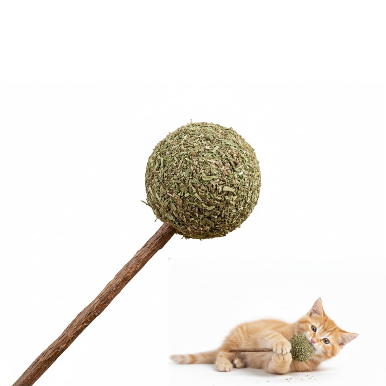 Dog Trust Catnip Lollipop Cat Toy  Natural Silvervine Stick & Catnip Ball Duo For Healthy Cat Teeth Cat Mint Lollipop  1 Pcs